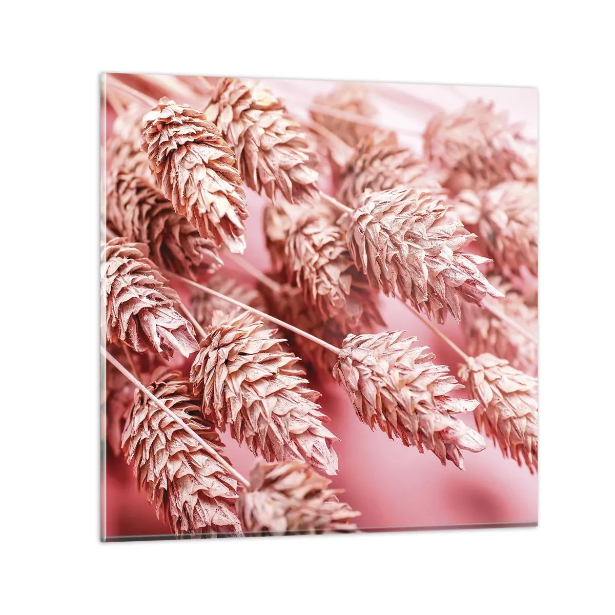 Billede på glas - Blomsterkaskade i lyserødt - 60x60 cm