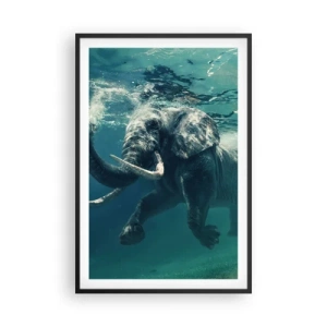 Plakat i sort ramme - Alle kan lide at svømme - 61x91 cm