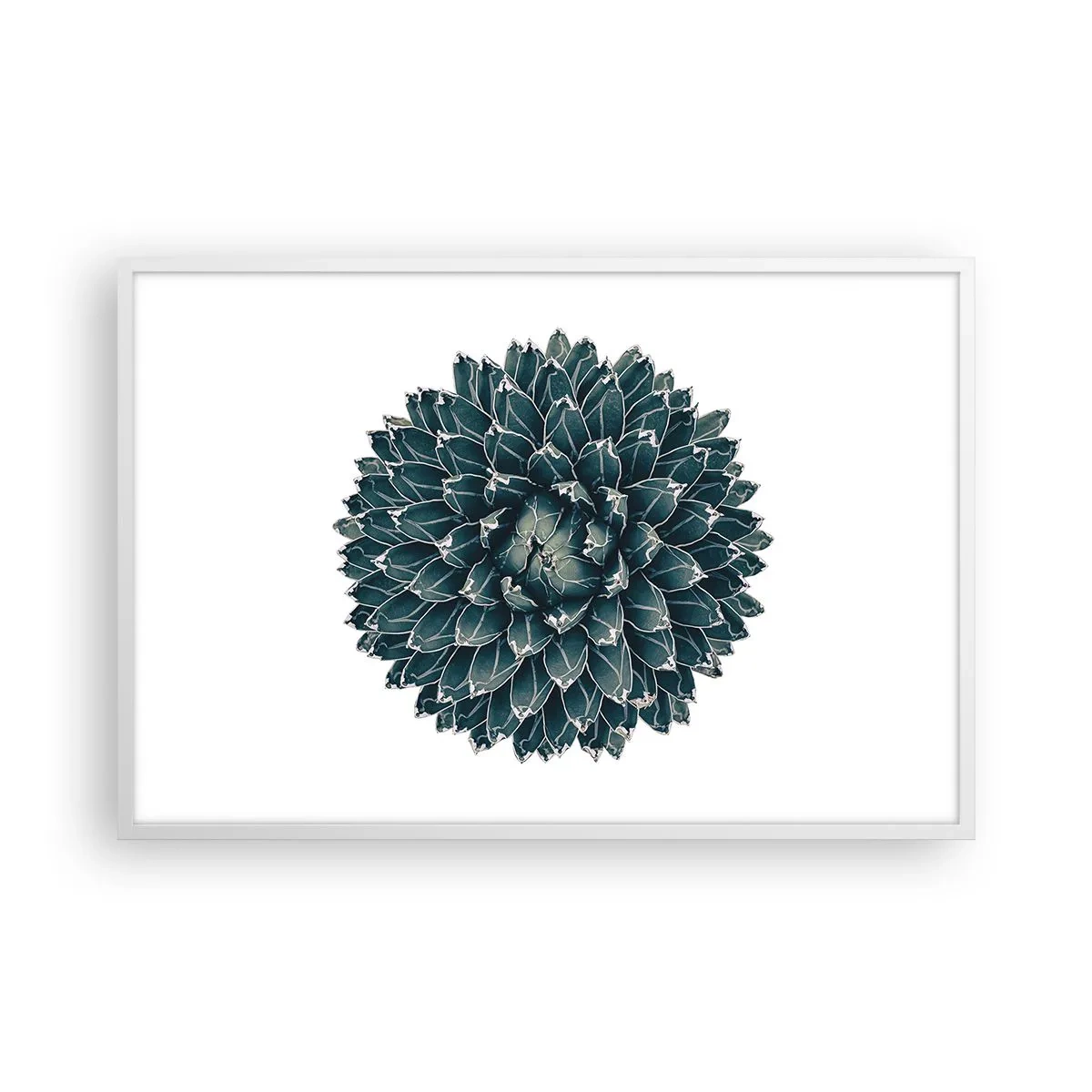 Plakat i hvid ramme - Ørkenstjerne - 91x61 cm