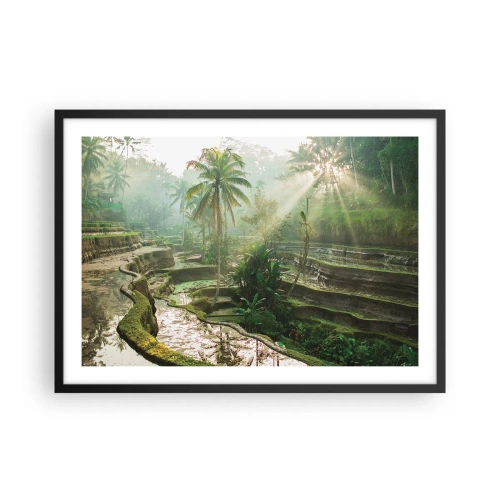 Plakat i sort ramme - Voksende op i solen - 70x50 cm