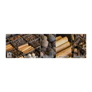 Prøve Fototapet Premium Sand - Et skatkammer af aromaer - Krydderier, Kaffe, Kanel - 100x30 cm
