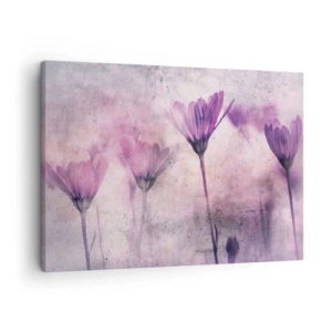 Lærredstryk - Billede på lærred - Fine blomster i lilla nuancer på en lys baggrund - 70x50cm - En drøm af blomster - Moderne vægdekoration til stue og soveværelse ARTTOR