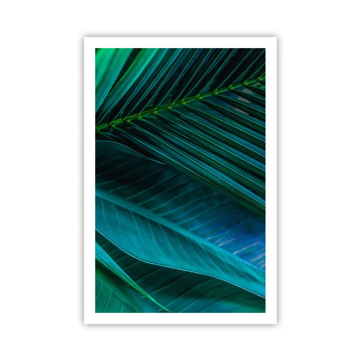 Plakat - Anatomi af en grøn - 61x91 cm