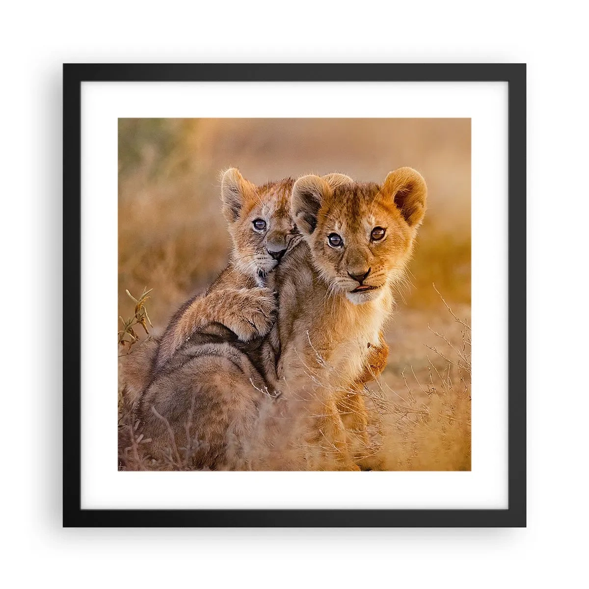 Plakat i sort ramme - Forstyr ikke! Vi har det sjovt - 40x40 cm