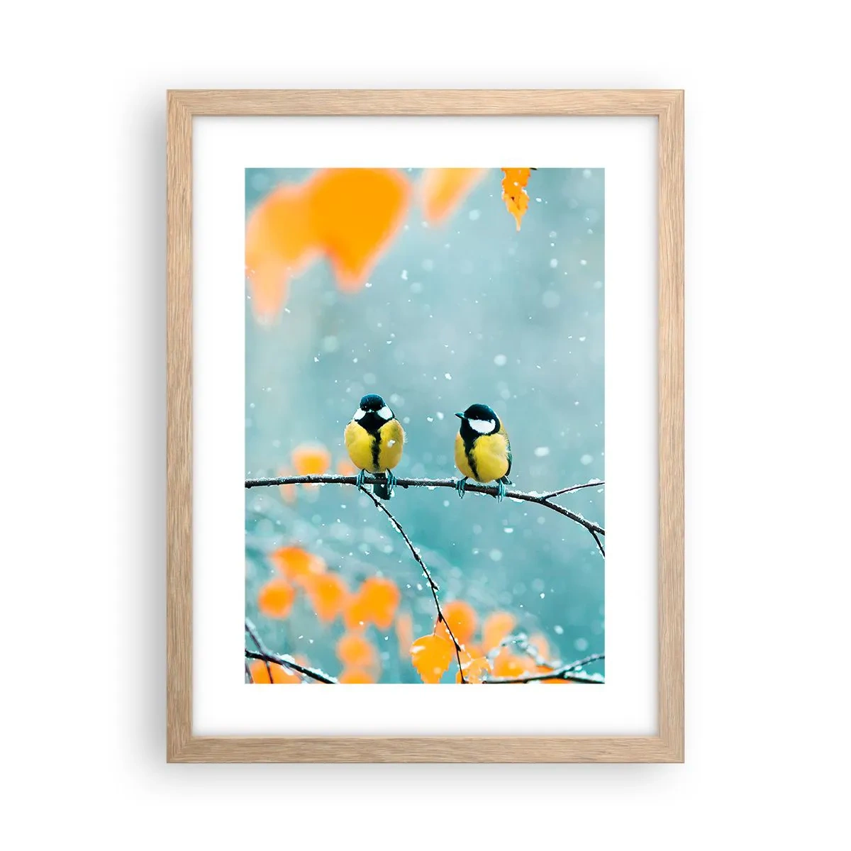 Plakat i ramme af lyst egetræ - Sladder om fugle - 30x40 cm