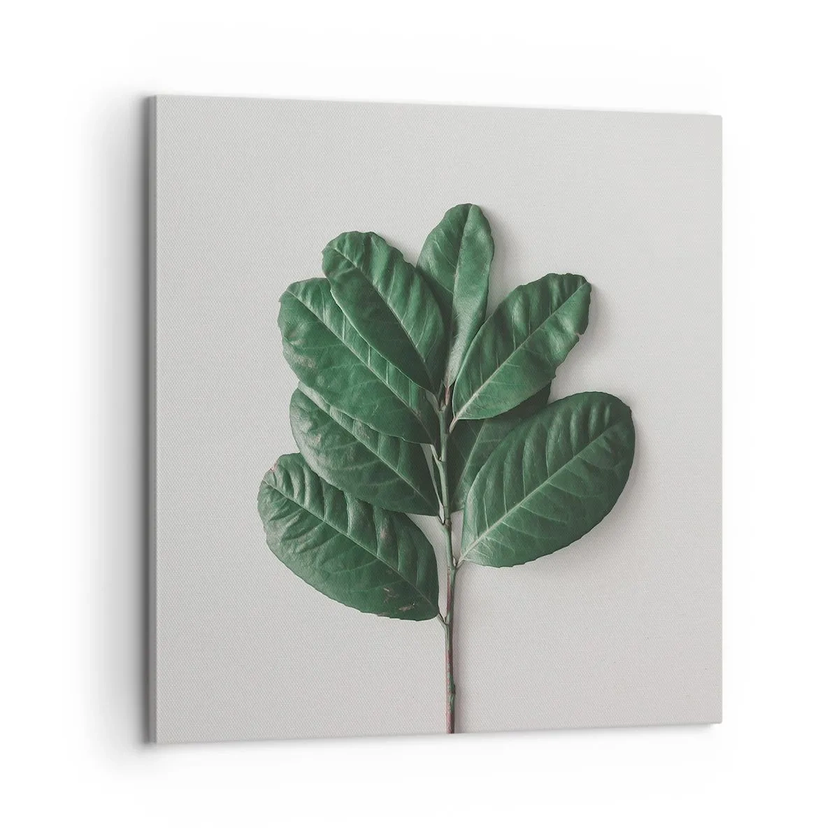 Lærredstryk - Billede på lærred - Tegning af selve naturen - 60x60 cm