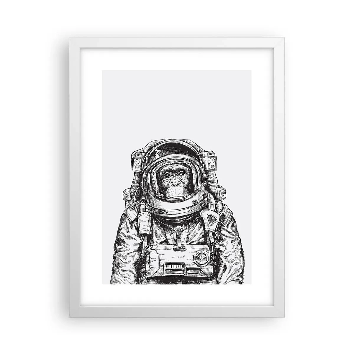 Plakat i hvid ramme - Alternativ evolution - 30x40 cm