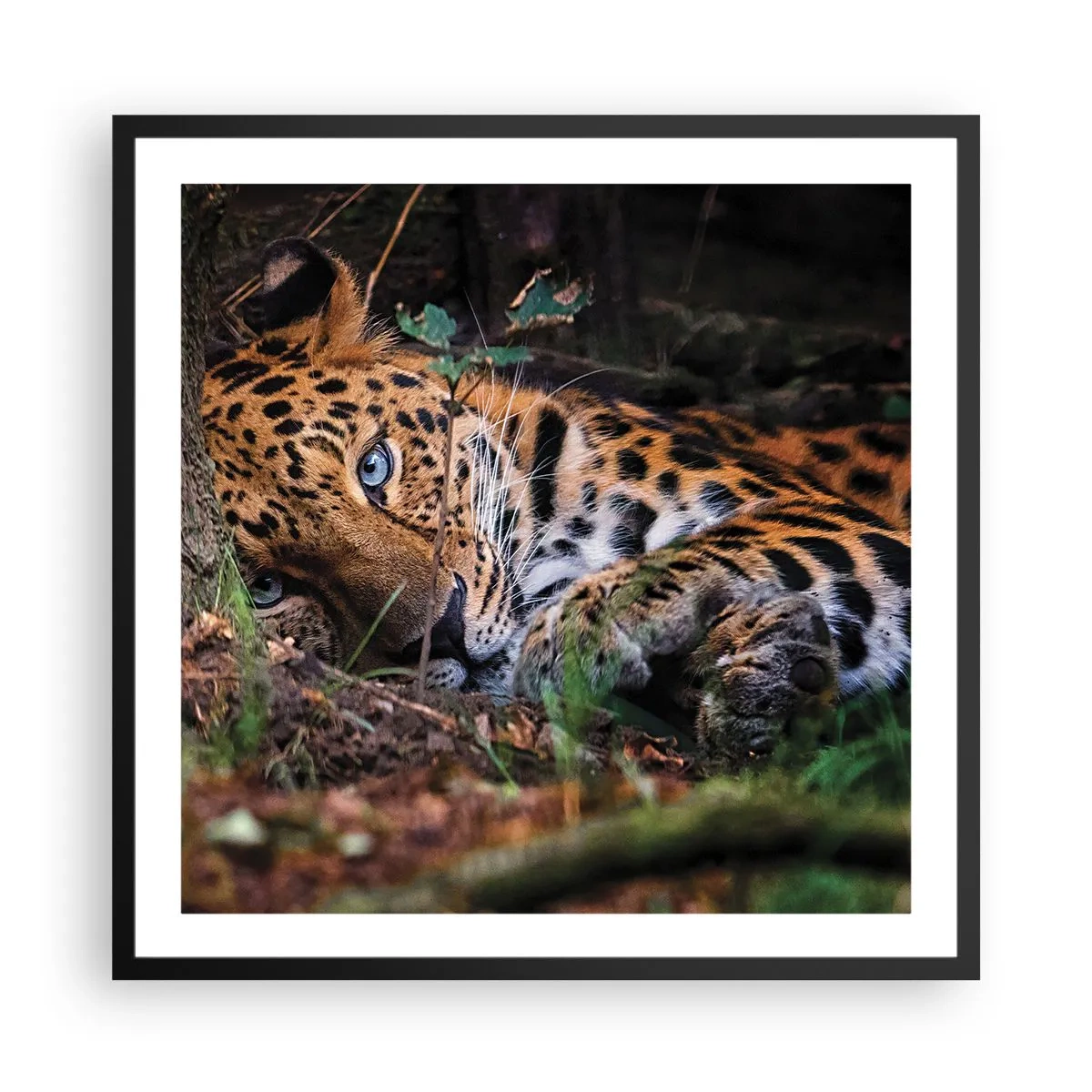 Plakat i sort ramme - Stol på mig - 60x60 cm