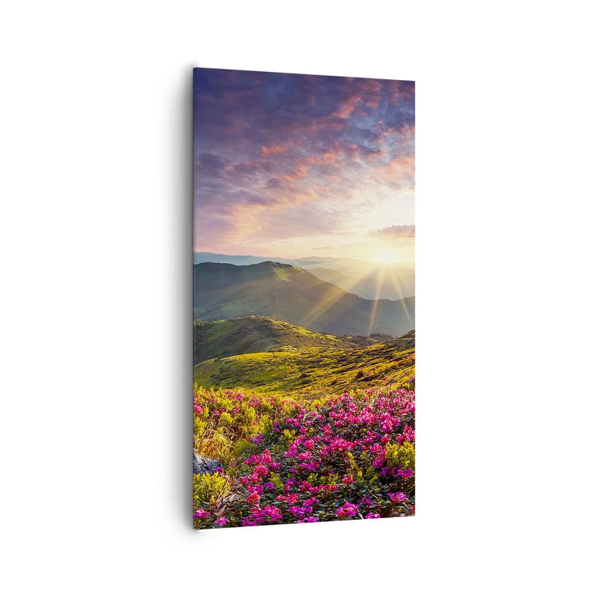 Lærredstryk - Billede på lærred - Friskheden af en morgen i bjergene - 65x120 cm