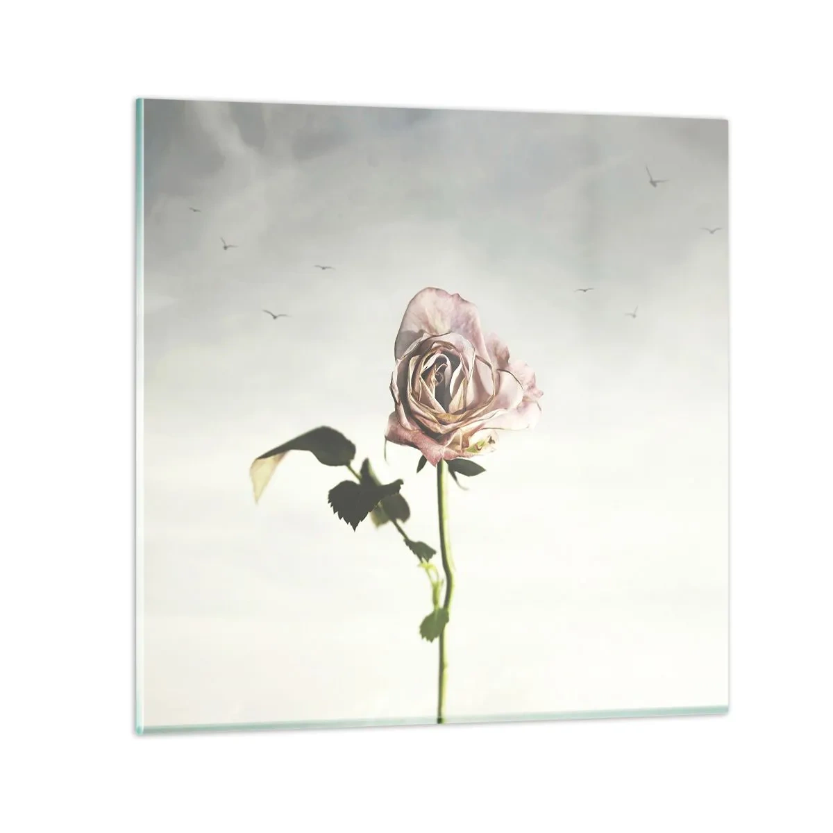 Billede på glas - Velkomst til foråret - 50x50 cm
