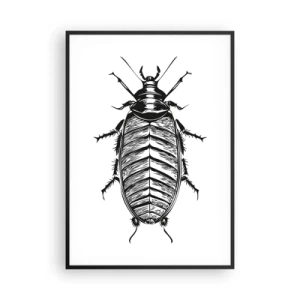 Plakat i sort ramme - Sikke et eksemplar! - 70x100 cm