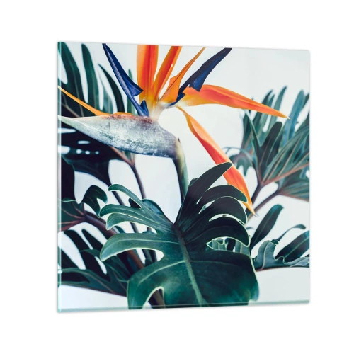 Billede på glas - Fuglebur - 40x40 cm