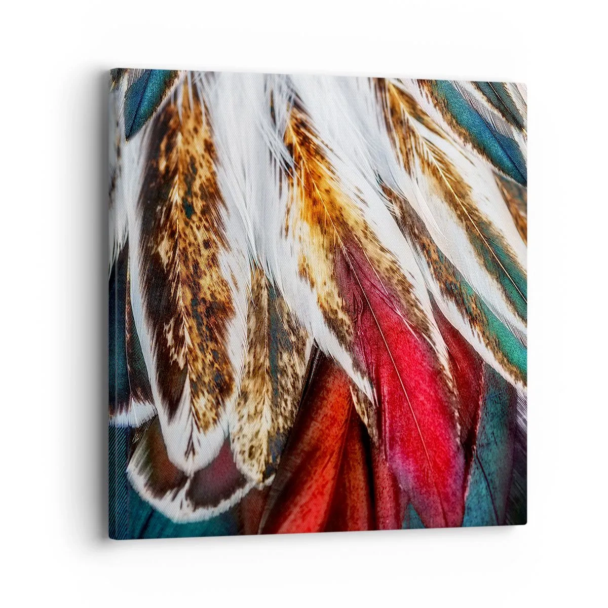 Lærredstryk - Billede på lærred - Flyvningens hemmeligheder - 40x40 cm