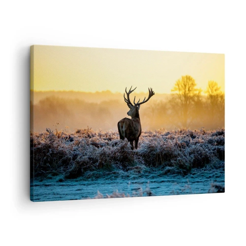 Lærredstryk - Billede på lærred - En hjort i en frostklar lysning ved solopgang - 70x50cm - Kronet på sine godser - Moderne vægdekoration til stue og soveværelse ARTTOR