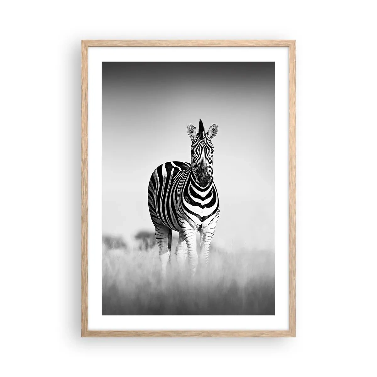 Plakat i ramme af lyst egetræ - Og alligevel er verden sort og hvid - 50x70 cm