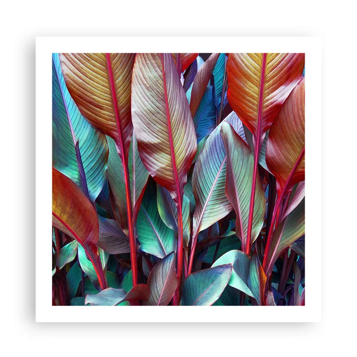 Plakat - Farverigt krat - 60x60 cm