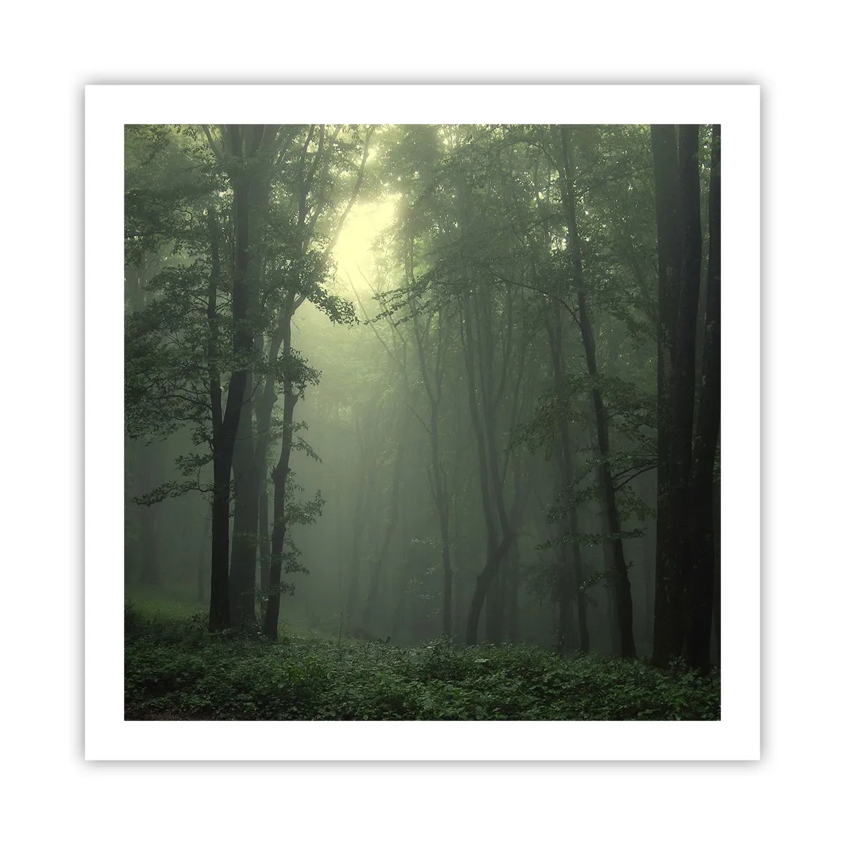 Plakat - Før han vågner op - 60x60 cm