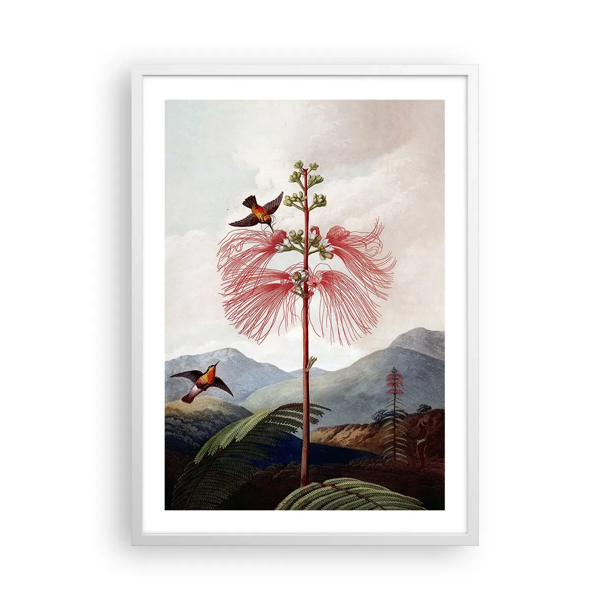 Plakat i hvid ramme - I et tropisk paradis - 50x70 cm