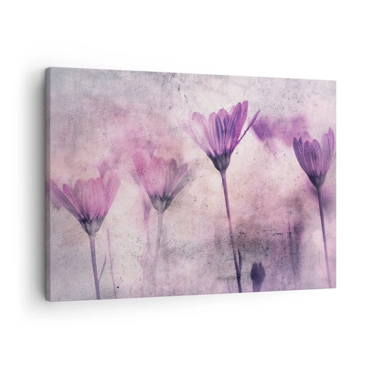 Lærredstryk - Billede på lærred - Fine blomster i lilla nuancer på en lys baggrund - 70x50cm - En drøm af blomster - Moderne vægdekoration til stue og soveværelse ARTTOR
