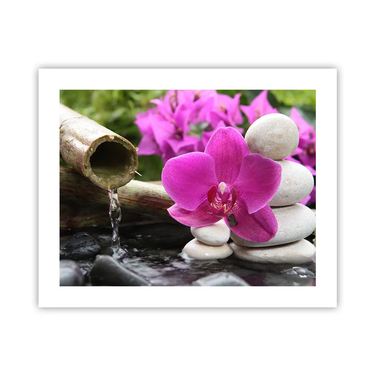 Plakat - Du hviler allerede - 50x40 cm