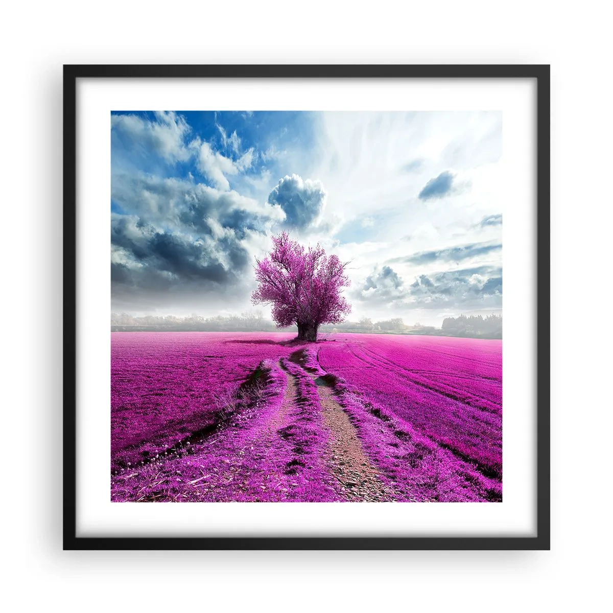 Plakat i sort ramme - Hedeslette - charmerende - 50x50 cm