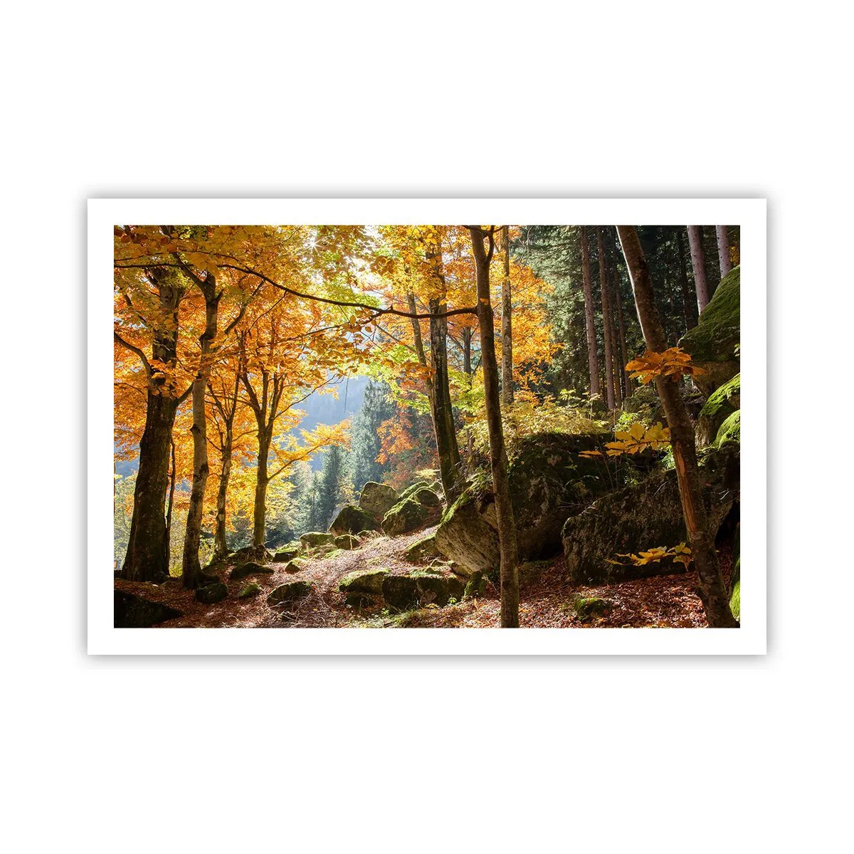 Plakat - Tid til at slappe af - 91x61 cm