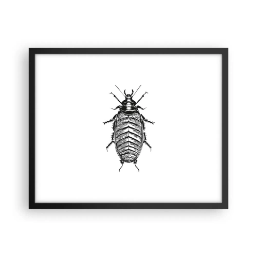 Plakat i sort ramme - Sikke et eksemplar! - 50x40 cm