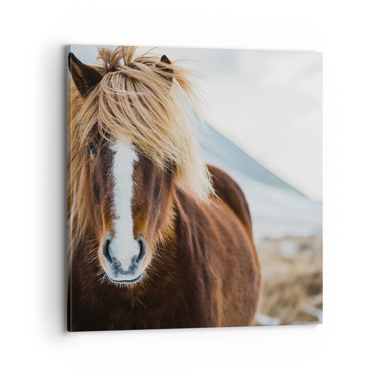 Lærredstryk - Billede på lærred - Kan du mærke friheden? - 70x70 cm