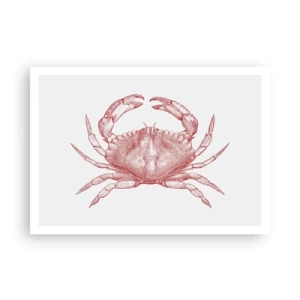 Plakat - Krabbe over krabber - 100x70 cm