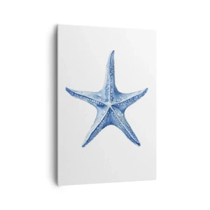 Lærredstryk - Billede på lærred - Havets stjerne - 70x100 cm