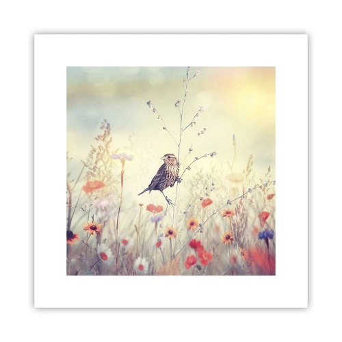 Plakat - Fugleportræt med en eng i baggrunden - 30x30 cm