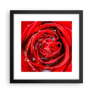 Plakat i sort ramme - I dråber af dug - 30x30 cm