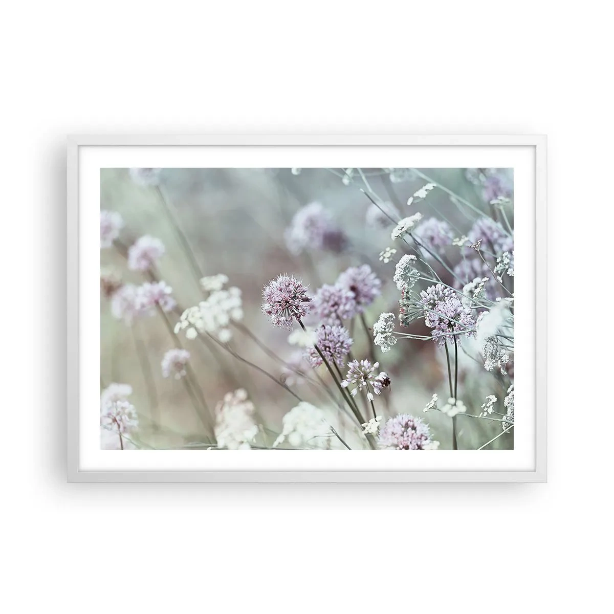 Plakat i hvid ramme - Søde filigranurter - 70x50 cm