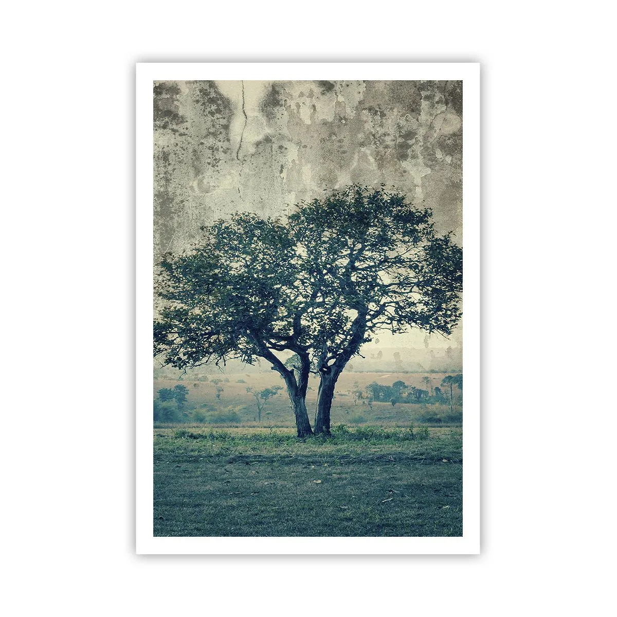 Plakat - Et æbletræ på en blå membran? - 70x100 cm