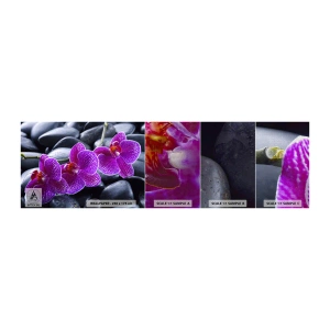 Prøve Fototapet Premium Canvas - Stenene lyste op af glæde - Blomster, Sten, Orkidé - 100x30 cm