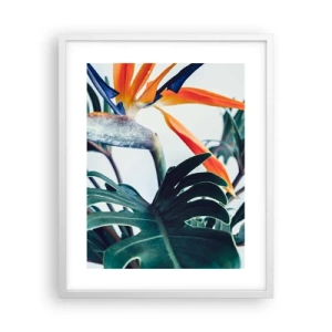 Plakat i hvid ramme - Fuglebur - 40x50 cm