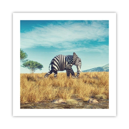 Plakat - Grå er ikke længere på mode - 50x50 cm