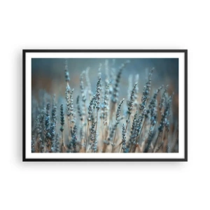 Plakat i sort ramme - Duftende plet - 91x61 cm