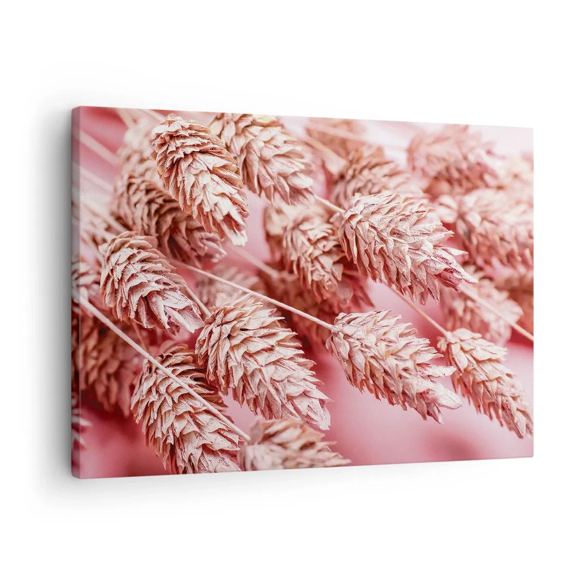 Lærredstryk - Billede på lærred - Nærbillede af de lyserøde ører - 70x50cm - Blomsterkaskade i lyserødt - Moderne vægdekoration til stue og soveværelse ARTTOR