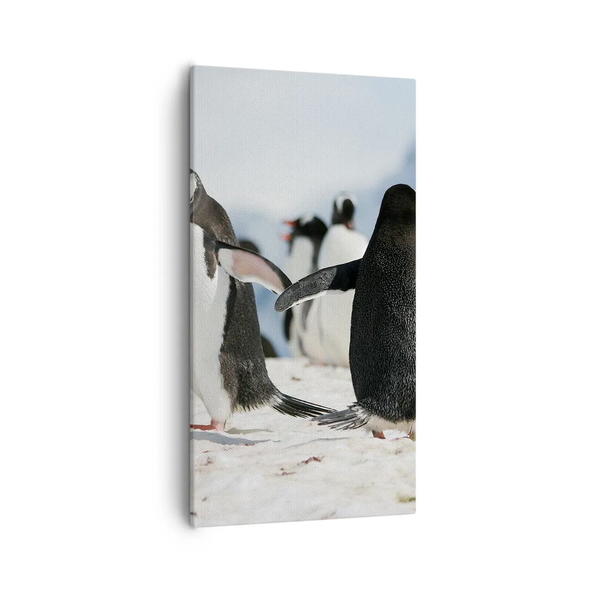 Lærredstryk - Billede på lærred - Danser i sneen - 55x100 cm