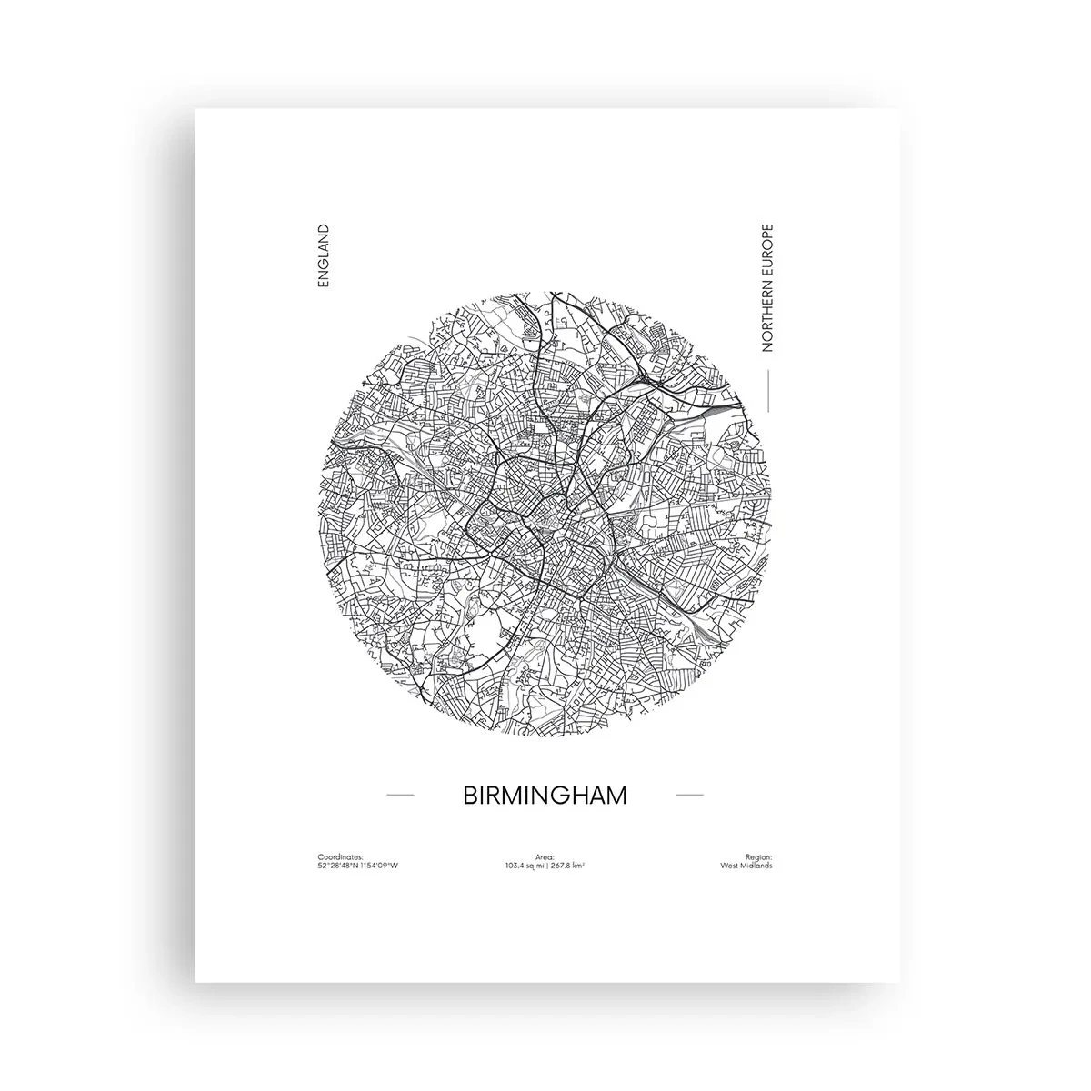 Plakat - Birminghams anatomi - 40x50 cm