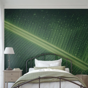 Fototapet Selvklæbende Deluxe Sticker - Grøn struktur - Grønt blad, Tropisk plante, Stykke - 500x350 cm