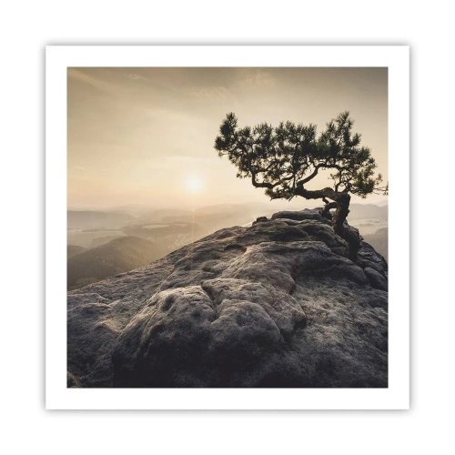 Plakat - Livet vinder altid - 60x60 cm