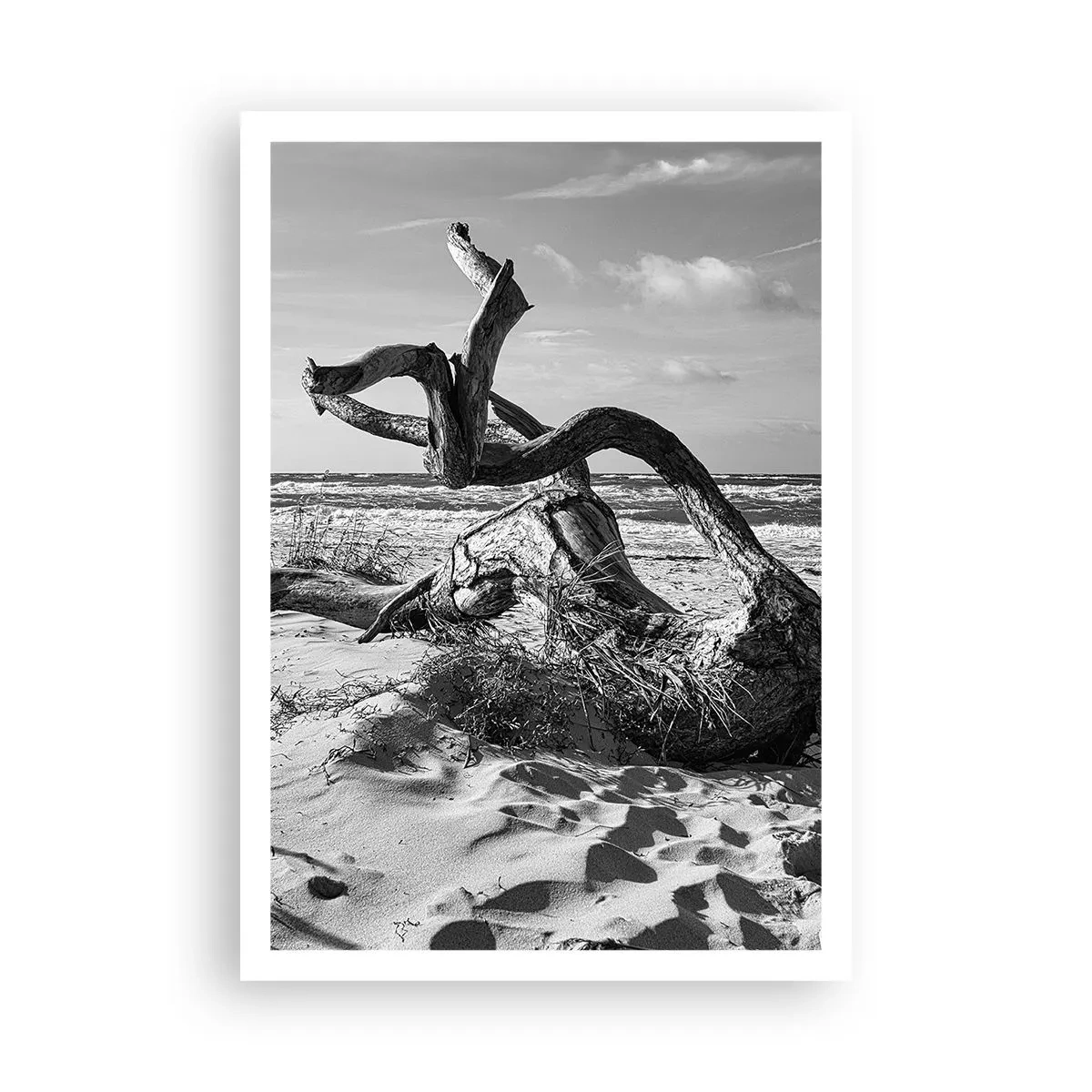 Plakat - Havets skulptur - 70x100 cm