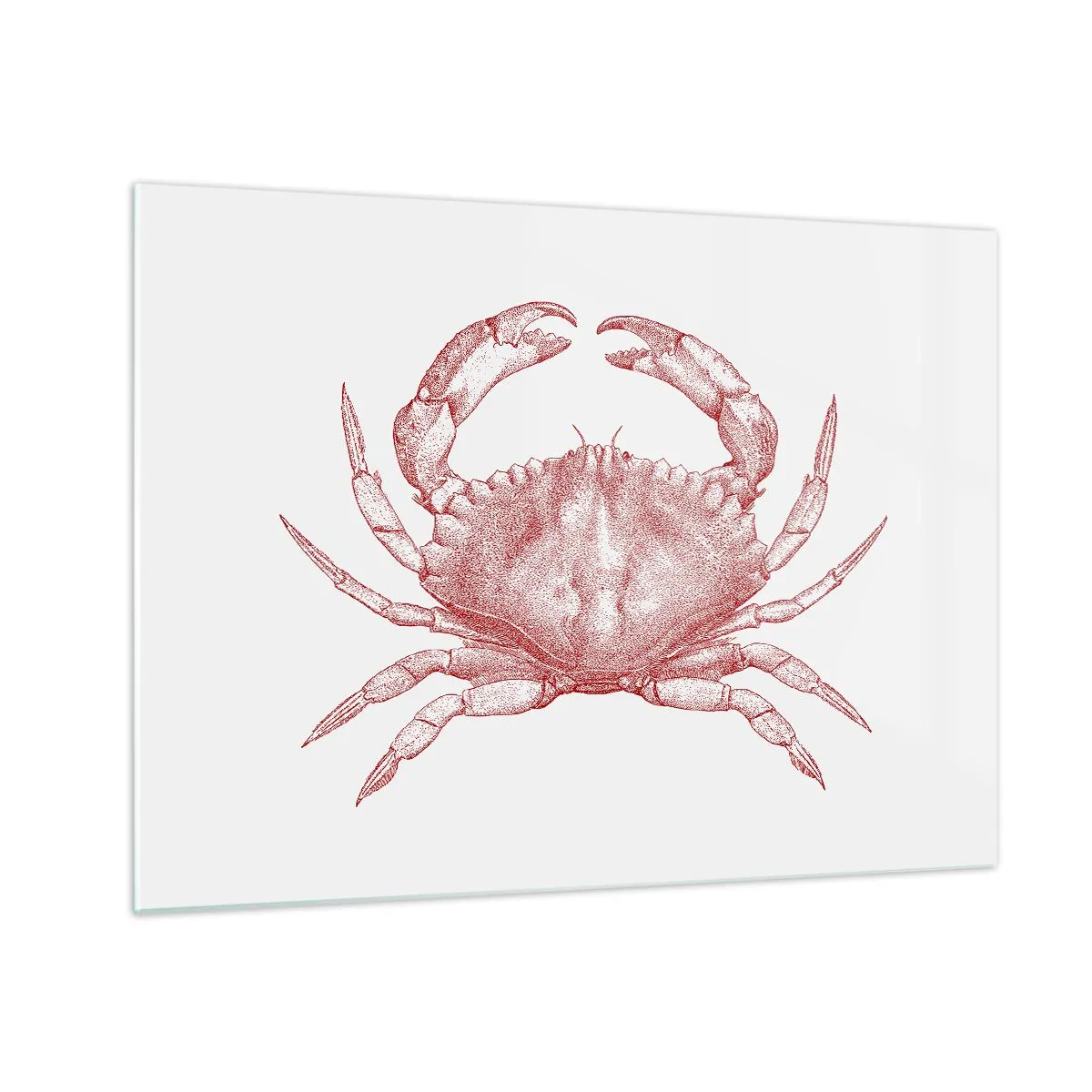 Billede på glas - Krabbe over krabber - 70x50 cm