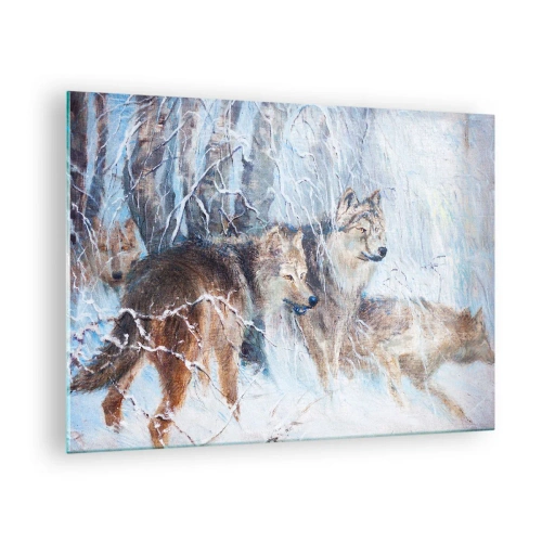 Billede på glas - Tre ulve i en vinterskov omgivet af sne - 70x50cm - OBS! På vej... - Moderne vægdekoration til stue og soveværelse ARTTOR