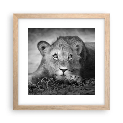 Plakat i ramme af lyst egetræ - Kongelig hvalp - 30x30 cm