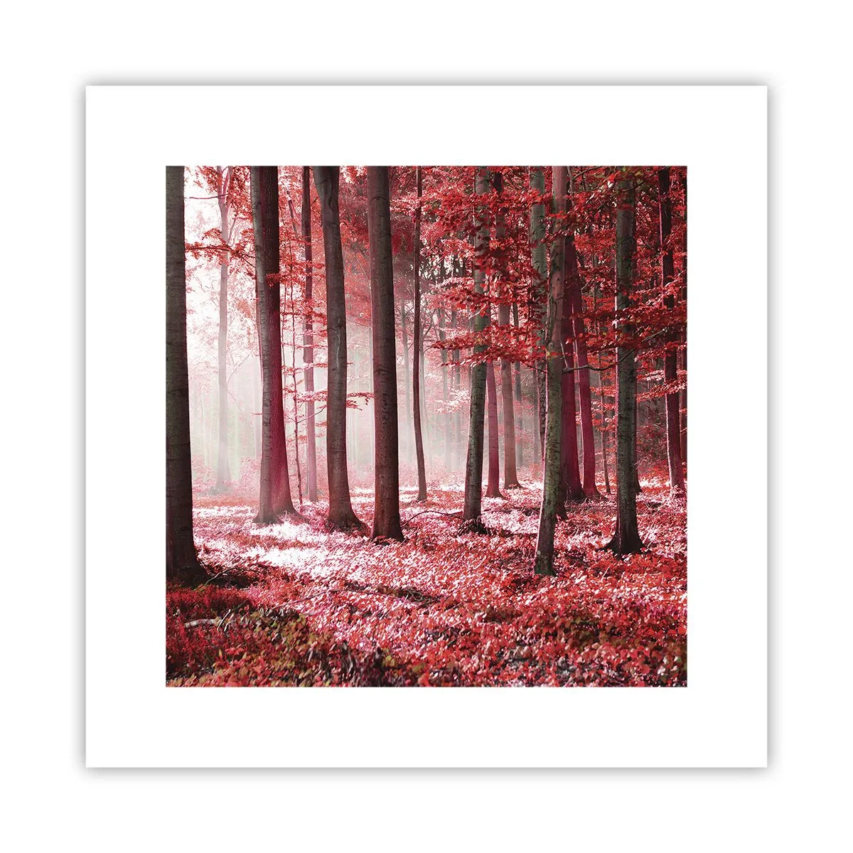 Plakat - Rød er lige så smuk - 30x30 cm