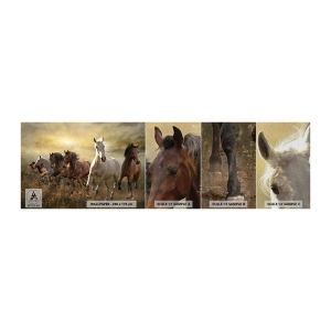 Prøve Fototapet Premium Sand - Længe leve friheden! - Dyr, Hest, Galop - 100x30 cm