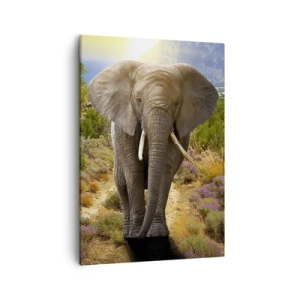 Lærredstryk - Billede på lærred - Sådan så Eden ud - 50x70 cm